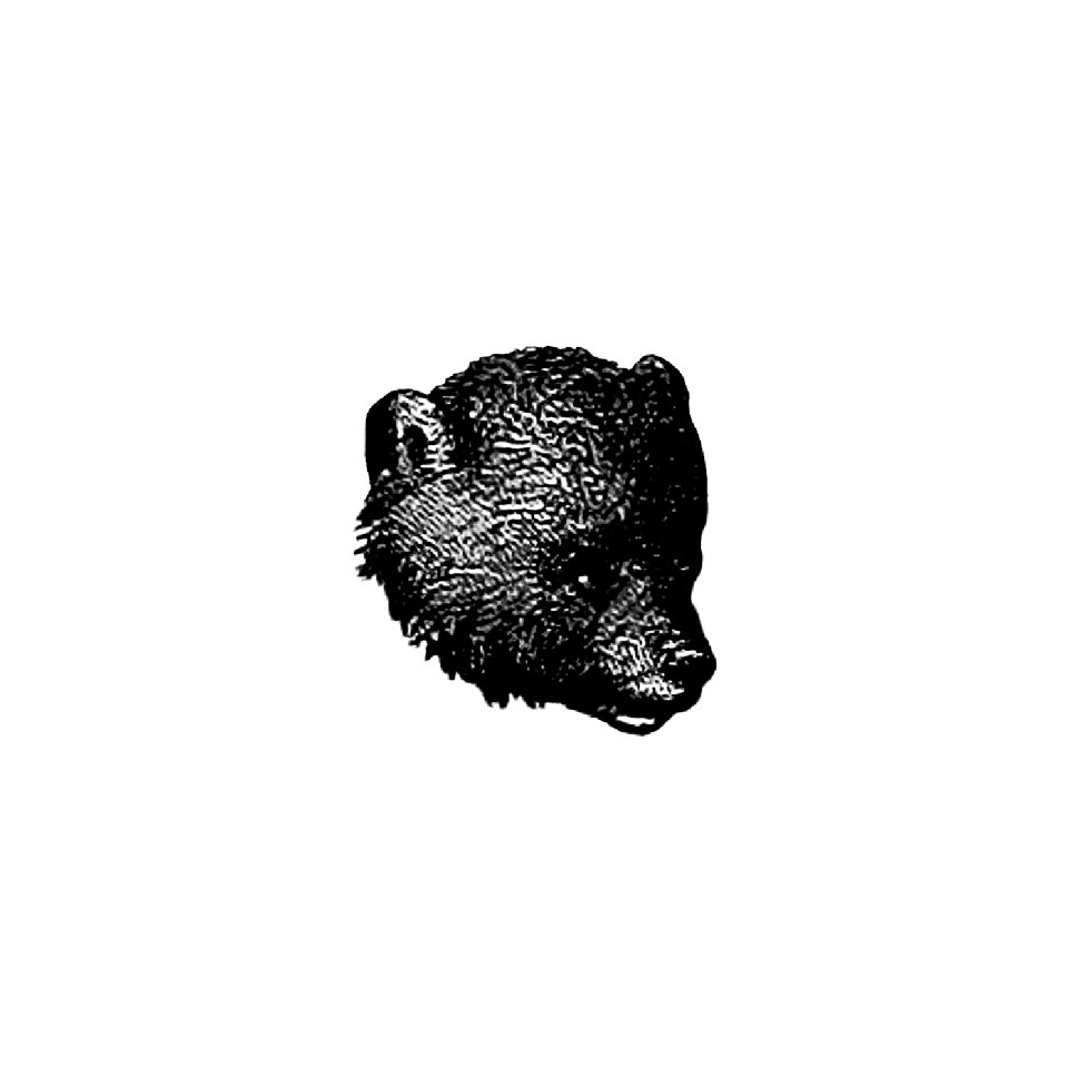 Vintage European style bear from Woodland romances, or, fables and fancies by Clara L. MateìAux (1877).