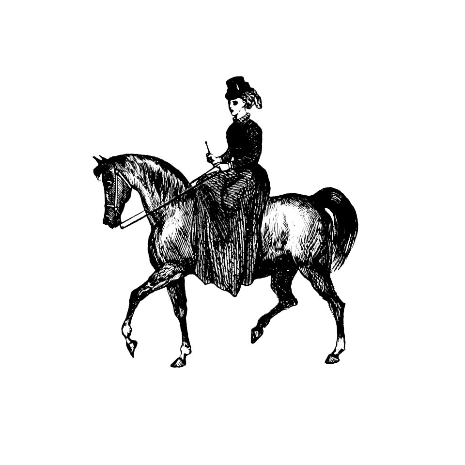 Vintage European style horseback riding of a lady engraving from London (illustrated). A complete guide to the leading hotels, places of amusement. Also a directory of first-class reliable houses in the various branches of trade by Anonymous (1872).. Free illustration for personal and commercial use.