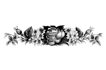 Vintage Victorian style blooming flowers engraving.