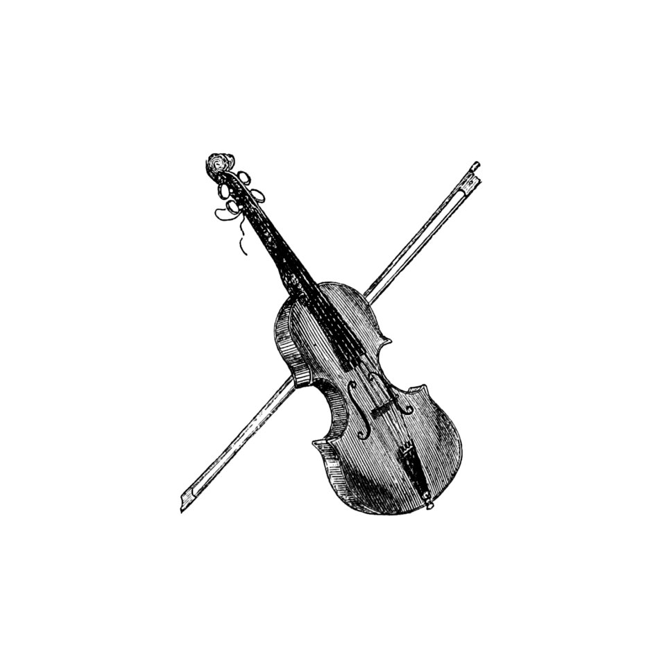 Vintage Victorian style wooden violin engraving.