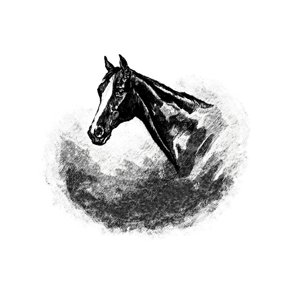 Vintage Victorian style horse head.