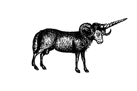 Vintage Victorian style goat engraving.
