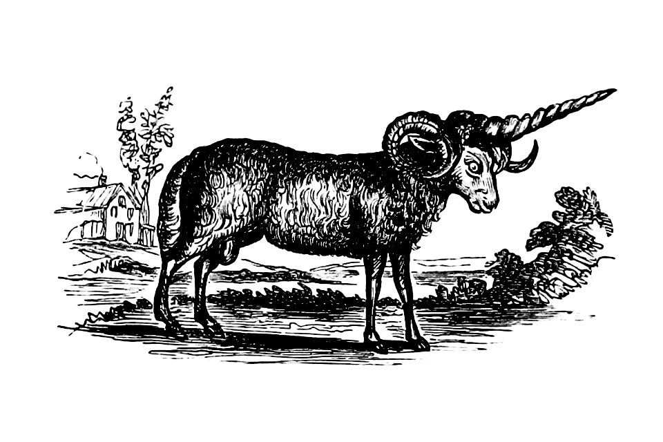 Vintage Victorian style goat engraving.. Free illustration for personal and commercial use.