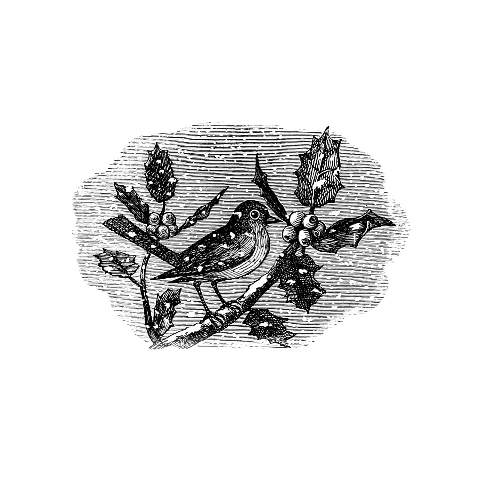 Vintage winter bird etching illustration from The Baby's Museum; or, Rhymes, jingles, and ditties, newly arranged by Uncle Charlie (1882).