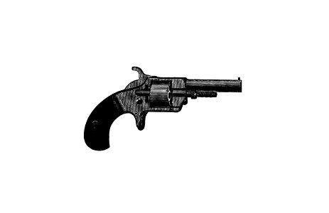Vintage gun published by S.W. Burley (1876).. Free illustration for personal and commercial use.