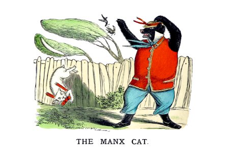 The manx cat from Un-Natural History Not Taught In Bored Schools, etc published by Simpkin, Marshall & Co. (1883).. Free illustration for personal and commercial use.