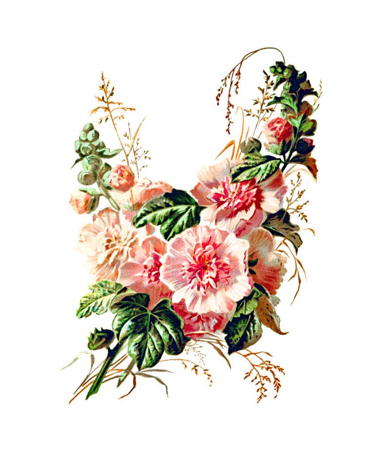 Hollyhock from Poets in the Garden published by T. Fisher Unwin (1886).