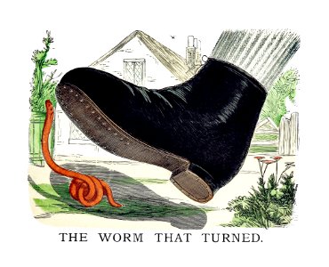 The worm that turned from Un-Natural History Not Taught In Bored Schools, etc published by Simpkin, Marshall & Co. (1883).. Free illustration for personal and commercial use.
