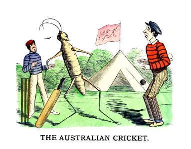 The Australian cricket from Un-Natural History Not Taught In Bored Schools, etc published by Simpkin, Marshall & Co. (1883).. Free illustration for personal and commercial use.