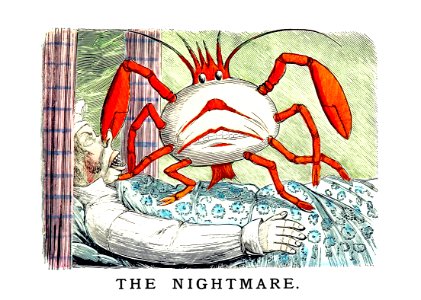 The nightmare from Un-Natural History Not Taught In Bored Schools, etc published by Simpkin, Marshall & Co. (1883).. Free illustration for personal and commercial use.