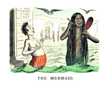 The mermaid from Un-Natural History Not Taught In Bored Schools, etc published by Simpkin, Marshall & Co. (1883).. Free illustration for personal and commercial use.