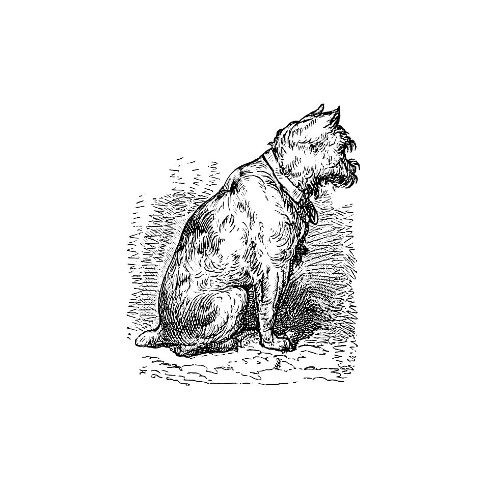 A sitting dog from The New Hyperion. From Paris to Marly by way of the Rhine (1875) published by Edward Strahan.