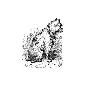 A sitting dog from The New Hyperion. From Paris to Marly by way of the Rhine (1875) published by Edward Strahan.. Free illustration for personal and commercial use.