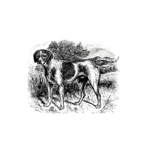 Rustic pet dog published by William Blackwood & Sons (1840).. Free illustration for personal and commercial use.