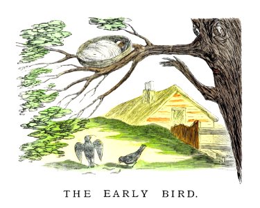 The early bird from Un-Natural History Not Taught In Bored Schools, etc published by Simpkin, Marshall & Co. (1883).. Free illustration for personal and commercial use.
