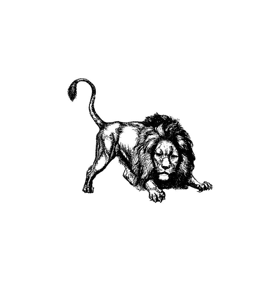 Lion from Brussels Through The Ages. Third Volume... by Henri Hymans (1882).