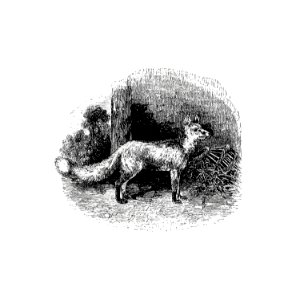 Cur fox published by William Blackwood & Sons (1840).