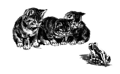 Kittens and a toad from Cherry Cheeks And Roses published by Ernest Nister (1890).. Free illustration for personal and commercial use.