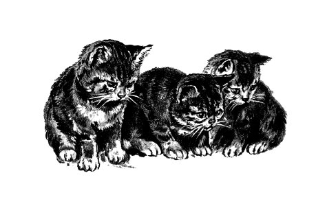 Kittens from Cherry Cheeks And Roses published by Ernest Nister (1890).. Free illustration for personal and commercial use.