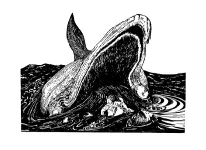 Sea whale from The Writings in Prose and Verse of Rudyard Kipling published by C. Scribner’s Sons (1897).. Free illustration for personal and commercial use.