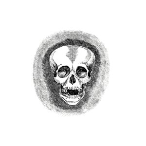 Skull from Two Years in Peru (1873) published by Daniel Berrera.. Free illustration for personal and commercial use.