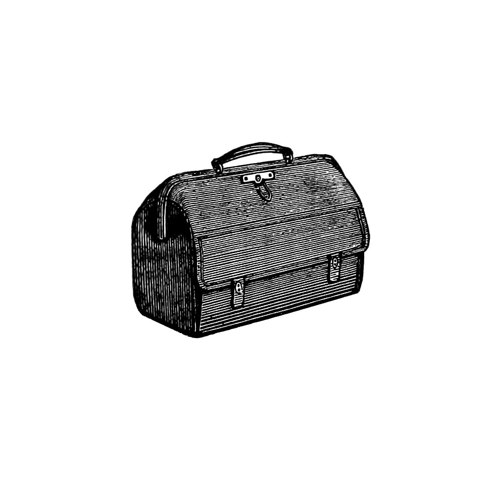 Medical bag from The Ocean as a Health Resort. A Handbook of Practical Information as to Sea-Voyages, for the Use of Tourists and Invalids (1880) published by William Samuel wilson.