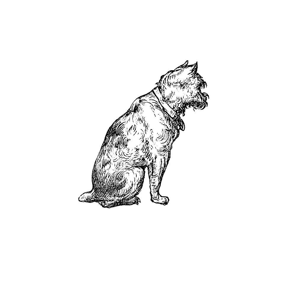 A sitting dog from The New Hyperion. From Paris to Marly by way of the Rhine (1875) published by Edward Strahan.