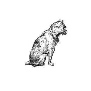 A sitting dog from The New Hyperion. From Paris to Marly by way of the Rhine (1875) published by Edward Strahan.. Free illustration for personal and commercial use.