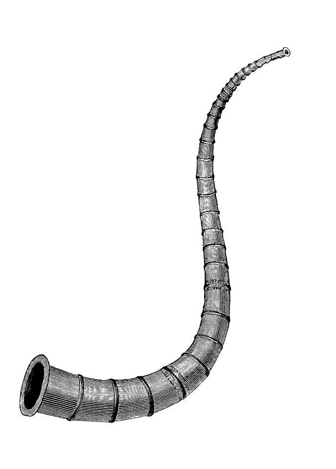 Warhorn from The History of Norway published by Sampson Low & Co. (1886).