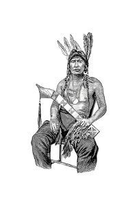 Native American man from The History of Benton County, Iowa published by Western Historical Co. (1878).. Free illustration for personal and commercial use.