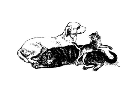 A dog, cat and kitten from Sing-Song. A Nursery Rhyme Book... With... illustrated by A. Hughes (1893).. Free illustration for personal and commercial use.