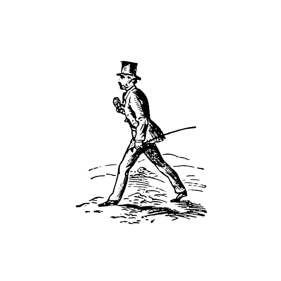 Gentleman from London. A Complete Guide To The Leading Hotels, Places Of Amusement... Also A Directory... Of First-Class Reliable Houses in the Various Branches of Trade published by Henry Herbert (1872).
