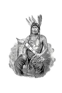 Native American man from The History of Benton County, Iowa published by Western Historical Co. (1878).. Free illustration for personal and commercial use.