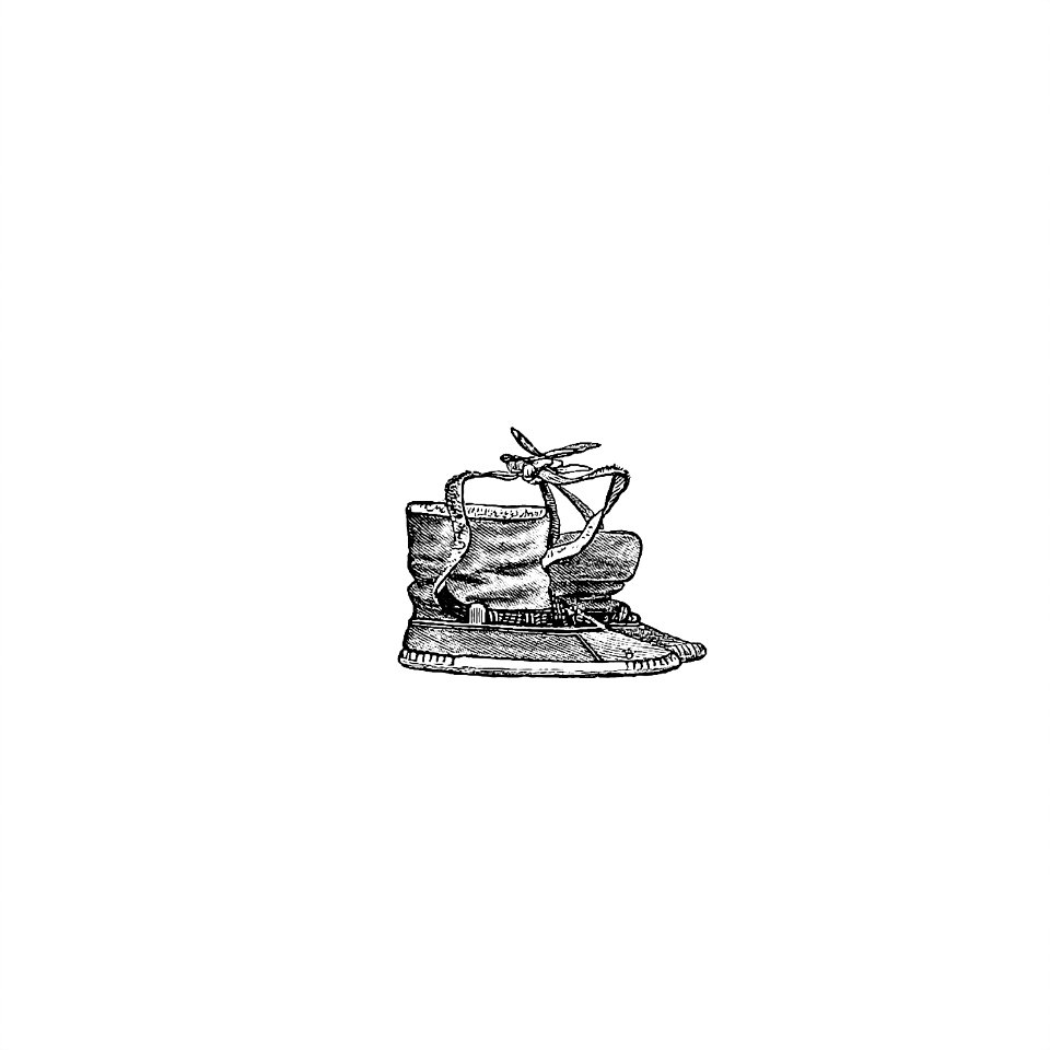 Eskimo boots and shoes of different ornaments from The American North Pole Expedition ... With Numerous Illustrations in Woodcut, etc (1879).  