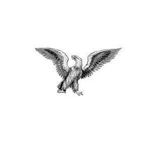 Eagle from Philadelphia as it is in 1852 (1852) published by R. A. Smith.. Free illustration for personal and commercial use.