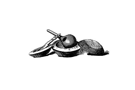 Kitchenware from Portuguese Expedition to Muatianvua Ethnographia and Traditional History of the People of Lunda... Edition Illustrated by H. Casanova (1890).. Free illustration for personal and commercial use.