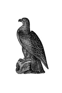 Washington eagle from A Book of the United States (1839) published by Grenville Mellen.