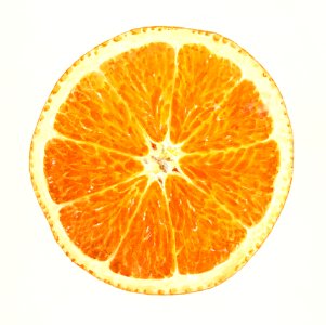 Orange (Citrus Sinensis) (1914) by James Marion Shull.. Free illustration for personal and commercial use.
