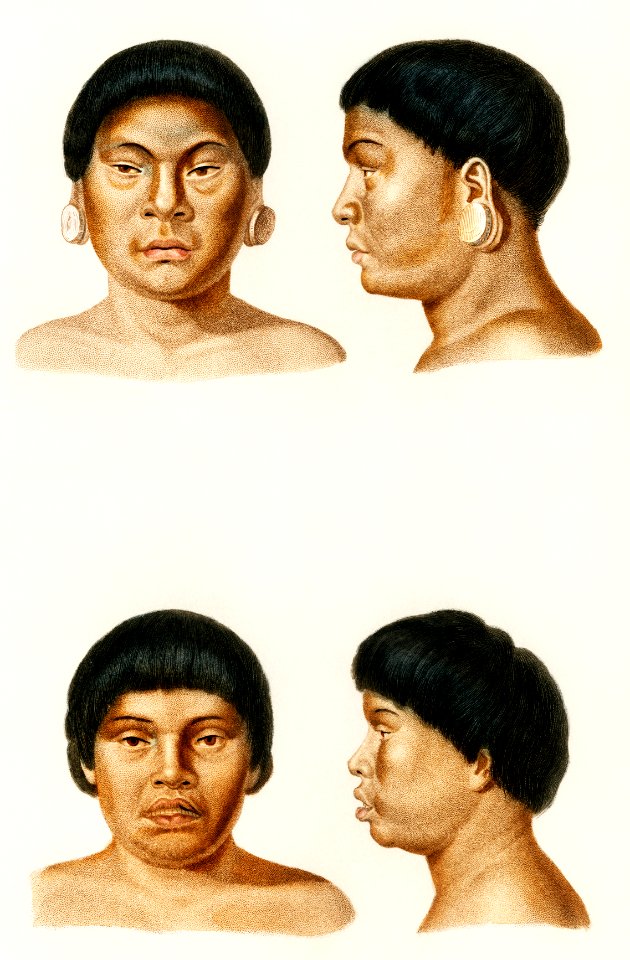 Human race illustrated by Charles Dessalines D' Orbigny (1806-1876). Digitally enhanced from our own 1892 edition of Dictionnaire Universel D'histoire Naturelle.