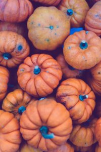 Close up of fresh pumpkins. Free illustration for personal and commercial use.