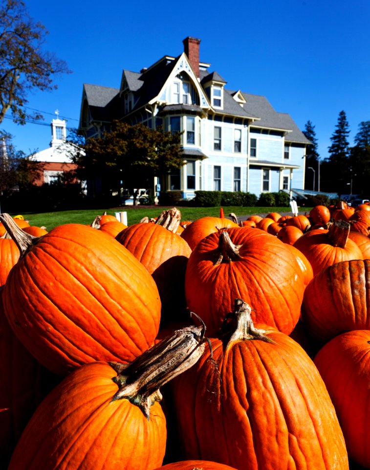 Pumpkin stand in Southington, Connecticut. Original image from Carol M. Highsmith’s America, Library of Congress collection.