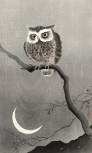 Long-eared owl on bare tree branch (1900 - 1930) by Ohara Koson (1877-1945).. Free illustration for personal and commercial use.