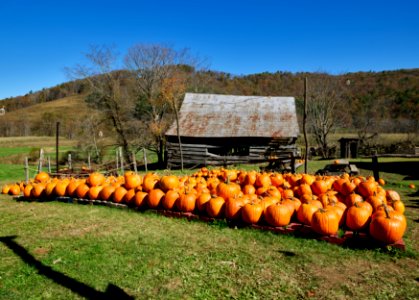 Rustic cabin associated with the nearby Mast Farm Inn, and decorated with pumpkins for the fall season, in Valle Crucis, North Carolina. Original image from Carol M. Highsmith’s America, Library of Congress collection.. Free illustration for personal and commercial use.