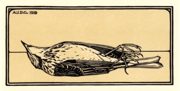 Dead bird (1919) by Julie de Graag (1877-1924).. Free illustration for personal and commercial use.
