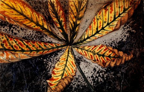 Chestnut leaf by Julie de Graag (1877-1924).. Free illustration for personal and commercial use.