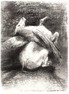 The Impotent Wing Did Not Lift the Animal Into That Black Space (1883) by Odilon Redon.