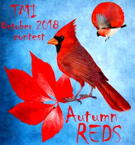 TMI October 2018 contest stamp