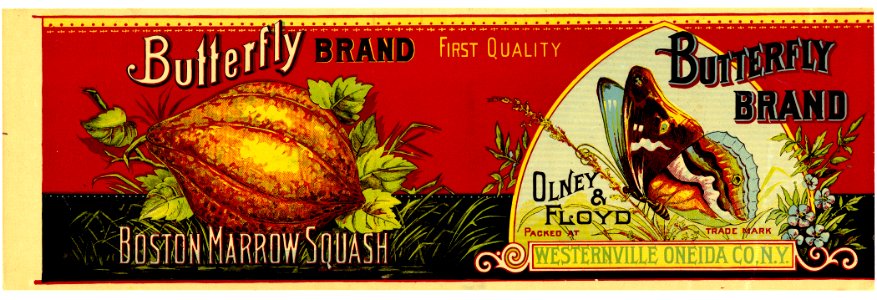 Olney & Floyd, Butterfly Brand, Boston Squash can label, c1890s. Free illustration for personal and commercial use.