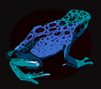 Frog. Free illustration for personal and commercial use.