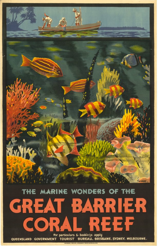 The Marine Wonders of the Great Barrier Coral Reef
